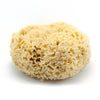 Natural Sea Wool Sponge